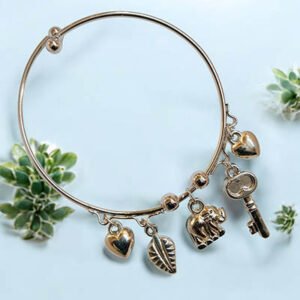 Charm Shapes Silver cuff Bracelet