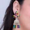 Multi Color Floral Crystal Jhumka v2